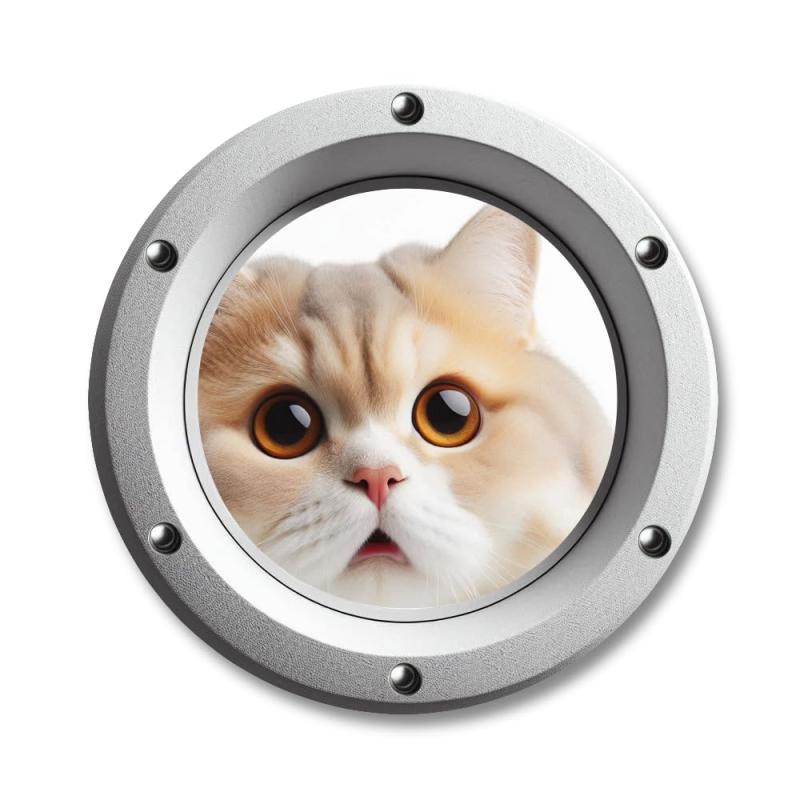 SignStore 窓から覗く猫 ステッカー 車やパソコン等に 防水 屋外使用可 5cm×3.5cm ビニール 日本製 TMZN36