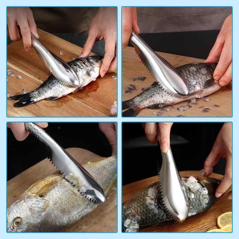 オーロラビジョンのCoollooda うろこ取り 魚鱗取り器 ウロコ取り ステンレス鋼 魚の鱗ブラシ 鱗取り 魚の鱗を取る 飛び散らない 魚 鱗 除去 魚の鱗とり 業務用 調理器具用品｜アングル3