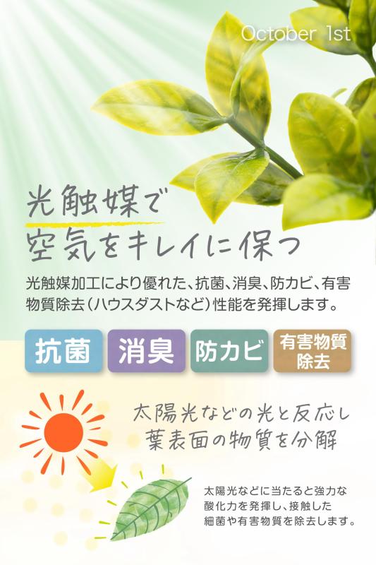 October1st フェイクグリーン 観葉植物 人工 3点セット 卓上用 光触媒加工 造花 インテリア 小物 ミニ indoor plants 人工植物 fake plant おしゃれ 緑 水やり不要 贈り物 ギフト 母の日 父の日 プレゼ auroravision-10272134 オーロラビジョン サンプル画像2