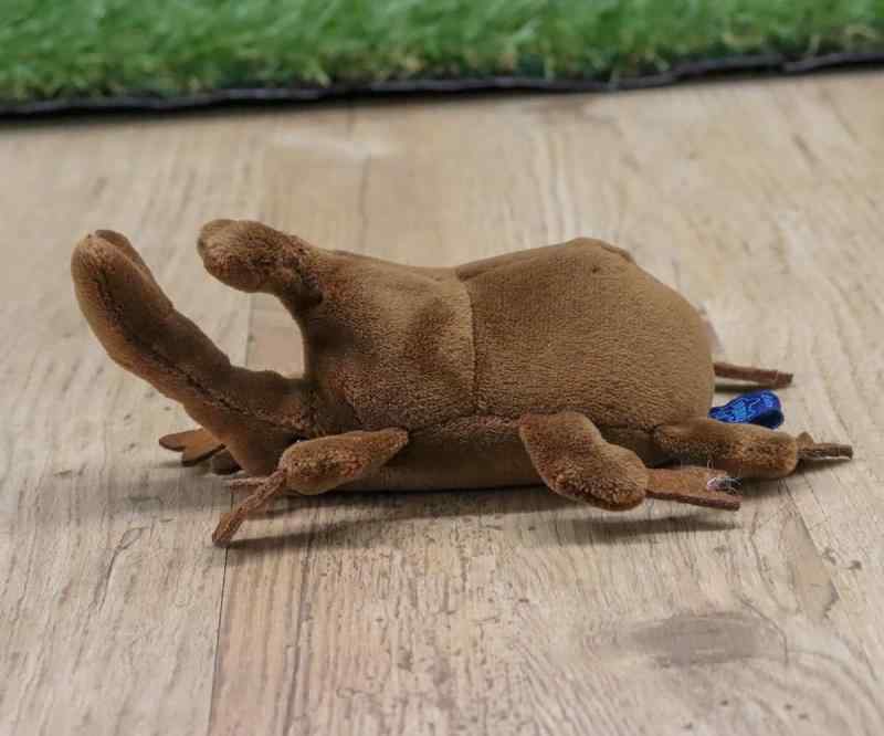 テイクオフ ぽけぷに カブトムシの商品画像 3