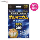 樹液力 ゲルマニウム 快足シート(1袋2枚入) 天然樹液エキス配合 足裏シート 樹液シート 選べるセット数 足の疲れ 貼って寝るだけ 足裏ケア 腰痛 肩こり ふくらはぎ むくみ解消 リラックス癒しグッズ スポーツ ボディーケア 日本製(4)