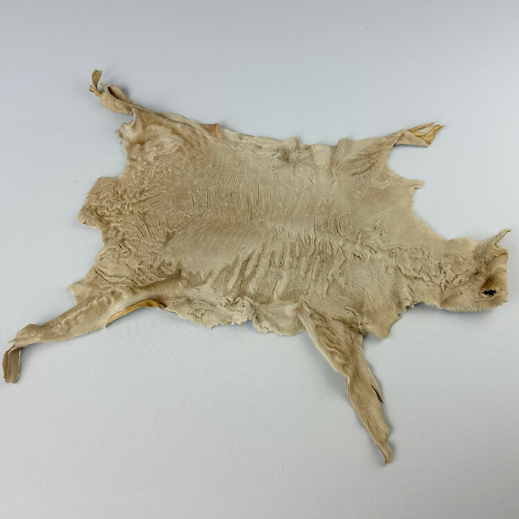 ベージュ染めスワカラ素材 やや大ぶり/欧州鞣し /アイデアでいろいろな用途に 選別漏れ 返品不可 ファー素材 新古品在庫