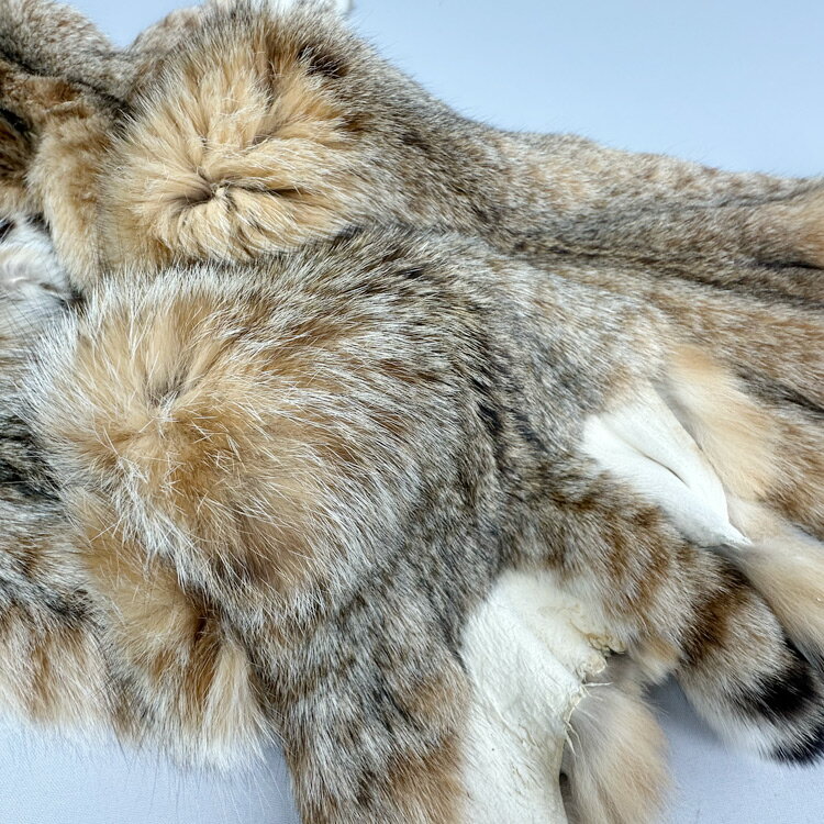 ���饹����󥯥�����åȸ��顡�����Ǻ�