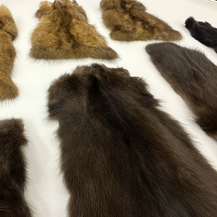 �������󥻡��֥��Ǻ�s98�������ǥ��Ǥ������������Ӥˡ������Բġ��ե����Ǻࡡ�����ʺ߸�