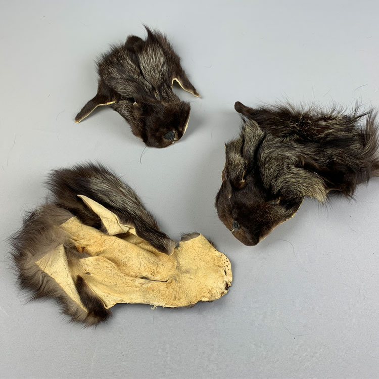 SAGA�ե��å���Ƭ���Ǻ�/�����ǥ��Ǥ������������Ӥˡ������Բġ��ե����Ǻࡡ�����ʺ߸ˡ�1�礢����β��ʤǤ���