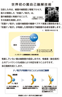 菌自己融解の仕組み