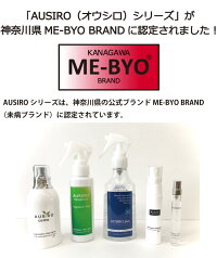 ME-BYOBRAND修正版ノイ中止後