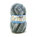 Opal オパール ソックヤーン 毛糸 『クレイジーウォーターズ 4ply 11317番色』