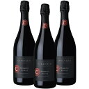 Ceravolo Sparkling Shiraz 3{Zbgyʑz yMtgz