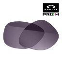 オークリー フロッグスキン 102-797-003 ローブリッジフィット サングラス 交換レンズ プリズム OAKLEY FROGSKINS