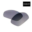 オークリー ストレートジャケット2.0 16-562 ローブリッジフィット サングラス 交換レンズ OAKLEY STRAIGHT JACKET2.0