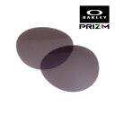 オークリー テリガル tergl-pgry ハイブリッジフィット サングラス 交換レンズ プリズム OAKLEY TERRIGAL(4)
