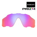 オークリー ジョウブレイカー サングラス 交換レンズ 登山 トレイル用 プリズム 101-111-008 OAKLEY JAWBREAKER スポーツサングラス PRIZM TRAIL