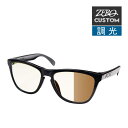 オークリー + ZERO 当店独自カスタム フロッグスキン スタンダードフィット サングラス 調光 ozcs-fskin027 OAKLEY FROGSKINS