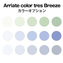 レンズ購入者専用 染色カラーオプション【アリアーテトレス:ブリーズ】左右2枚1組