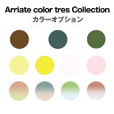 レンズ購入者専用 染色カラーオプション【アリアーテトレス：コレクション】左右2枚1組