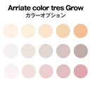 レンズ購入者専用 染色カラーオプション【アリアーテトレス:グロー】左右2枚1組(4)