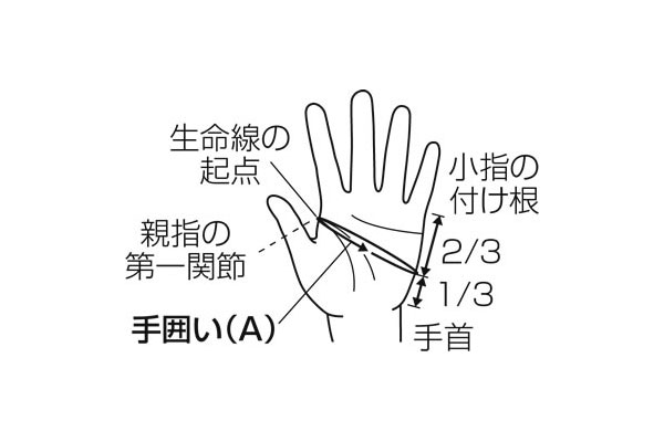 JURAN ������ �졼���󥰥������� ����ѥ��� ��å� M������ 332615