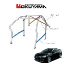 OKUYAMA オクヤマ DASH ロールバー スチール製 ランサーエボリューションX CZ4A [10P/No.20/2名] ダッシュボード逃げタイプ ※個人宅への配送不可、送料注意