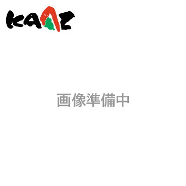 KAAZ カーツ LSD補修パーツ オーバーホールセット DBV1820SQ用 71261-208