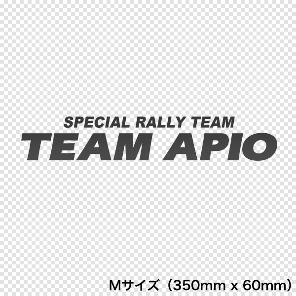 APIO アピオ TEAM APIO カッティングステッカー（Mサイズ） ガンメタ