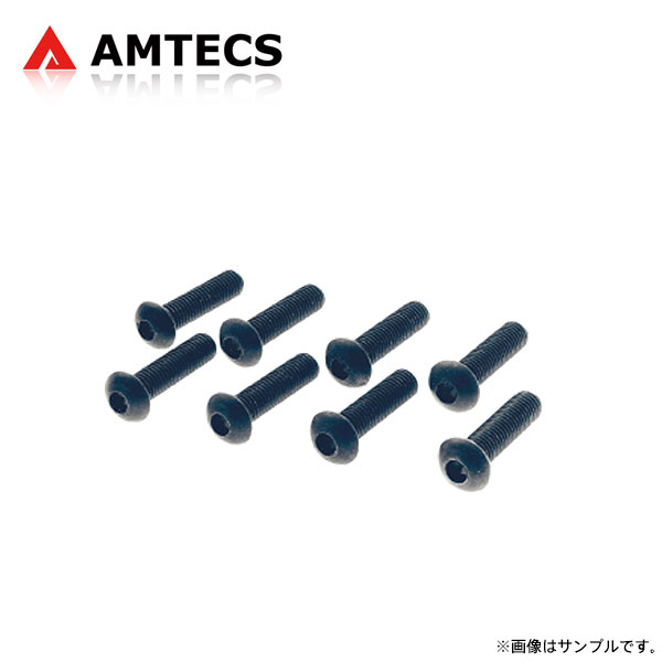 AMTECS アムテックス SPC 10408 リアハブベアリング交換用ボルト8本セット M10 X 1.5 X 40 フォルクスワーゲン パサート 3B 1996〜2005 FWD ※離島は送料要確認