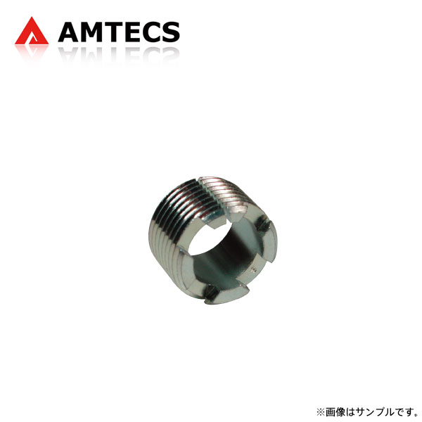 AMTECS アムテックス キャスター/キャンバー調整スリーブ 1.00°(1°0') ダッジ W100/W150/AW150/W200/W250 1972〜1993 トラック ※離島は送料要確認