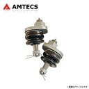 AMTECS アムテックス SPC 35102 交換用ボールジョイント 2個入り ※離島は送料要確認(2)