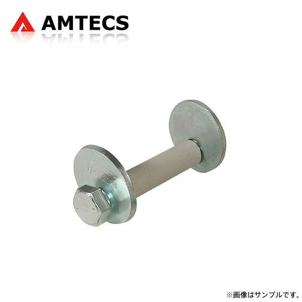 AMTECS アムテックス SPC 25380 リアキャンバー/トー アジャスティングカムボルト 純正交換用 RAV4 ACA20W ACA21W ZCA25W ZCA26W H12.5〜H17.11 ※離島は送料要確認