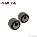 AMTECS アムテックス SPC 66055 リアトーオフセット調整ブッシュ ダッジ チャージャー 2006〜2023 AWD SRT-8含む ※離島は送料要確認(2)
