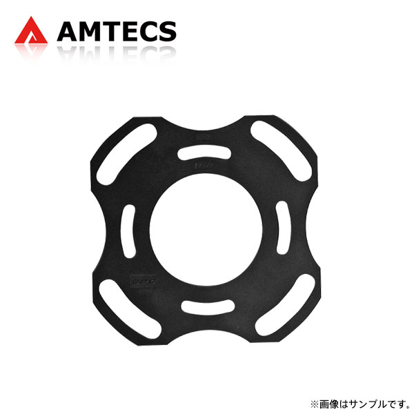 AMTECS アムテックス リアトーションビーム式調整用シム ±1.00°(±1°0') プジョー 307 2001〜2010 CC/SW/ブレーク/フェリーヌ ※離島は送料要確認