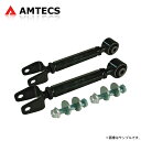 AMTECS アムテックス SPC リアキャンバーアームキット ボールジョイント インフィニティ M35/M45 2006〜2010 ※離島は送料要確認