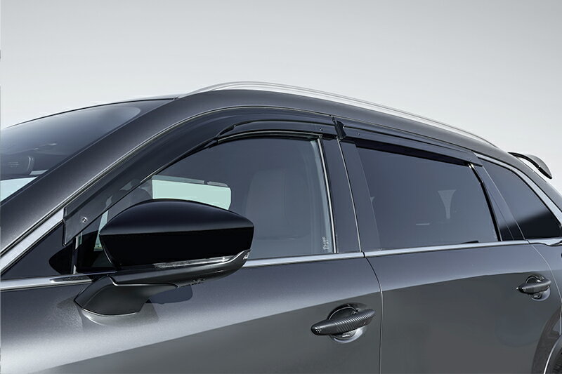 AutoExe オートエクゼ スポーツサイドバイザー 1台分 CX-80 KL3P KL3R3P KL5S3P