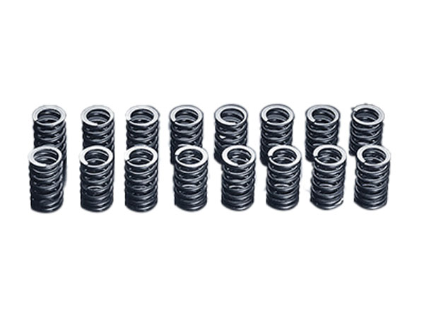 HKS バルブスプリング 4AG