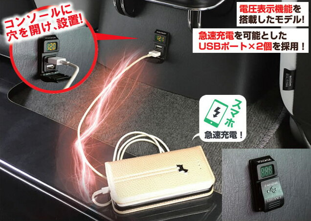 レガンス LEGANCE 汎用VOLTAGE＋USBポート4.8A USB充電ポート全車種対応 電圧表示 汎用ボルテージUSBポート 2穴USBポート 埋め込みUSBポート 災害対策 車中泊インテリアパーツ