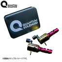 LEXON クァンタムソレノイド インテーク側 2個セット ハイラックスサーフ GRN215W 1GR-FE 沖縄・離島は要確認