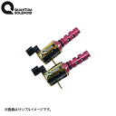 LEXON クァンタムソレノイドQS-R インテーク側 2個セット クラウン GRS184 2GR-FSE 沖縄・離島は要確認