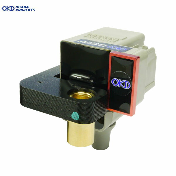 OKADAPROJECTS プラズマダイレクト 1台分 レガシィ BHE BEE H13.5-H15.6 EZ30 3000