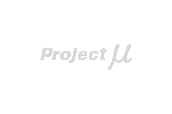 Project Mu �ץ��������ȥߥ塼 ���ꥸ�ʥ륹�ƥå��� Project�� �̥�ʸ�� ����С� 30x100mm SS-01