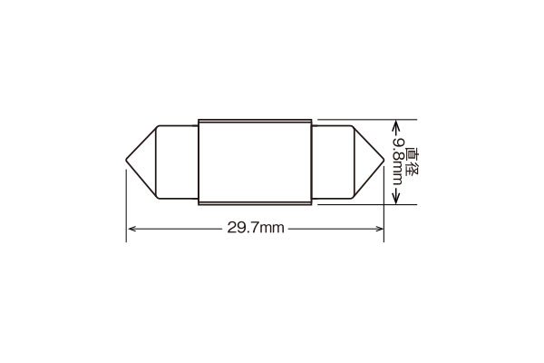 RG レーシングギア LEDバルブ T10×31 6000K 白色光 ルームランプ(センター)用 ダットサンピックアップ BD22 LBD22 LFD22 LFMD22 LPD22 LRMD22 PD22 QD22 H9.10〜H14.8