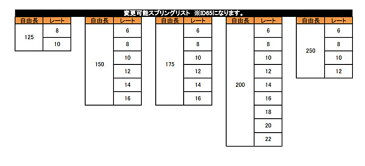 RG レーシングギア 車高調 HSダンパー 単筒式 S2000 AP1 AP2 1999/04〜2009/09