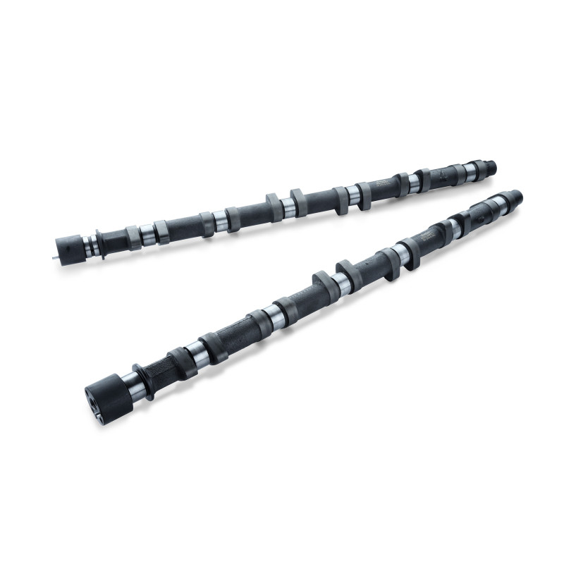 RSE リアルスピードエンジニアリング カムシャフトセット スペックS 254-9.15 スカイライン ER34 RB25DET NEO6