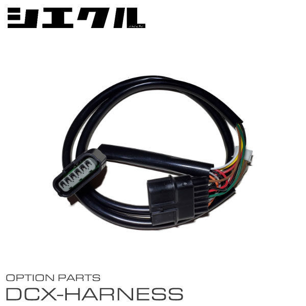 siecle  Żҥåȥ륳ȥ顼ѥϡͥ DCX-F1