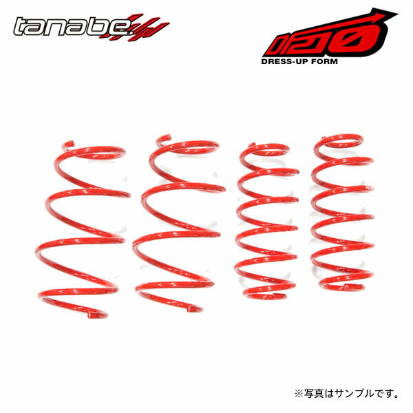 tanabe タナベ サステック DF210 ダウンサス 1台分 AZワゴン MJ23S H20.9～H24.10 K6A NA FF