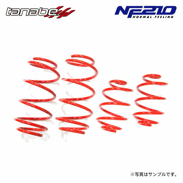 tanabe タナベ サステック NF210 ダウンサス 1台分 キャロルエコ HB35S H25.3～H27.1 R06A NA FF