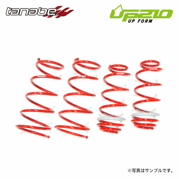 tanabe タナベ ディバイド UP210 アップサス 1台分 フレアクロスオーバー MS41S H27.5～R2.2 R06A NA/TB 4WD