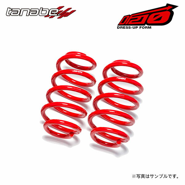 tanabe タナベ サステック DF210 ダウンサス リアのみ アルファード AGH40W R5.6～ 2AR-FE NA FF
