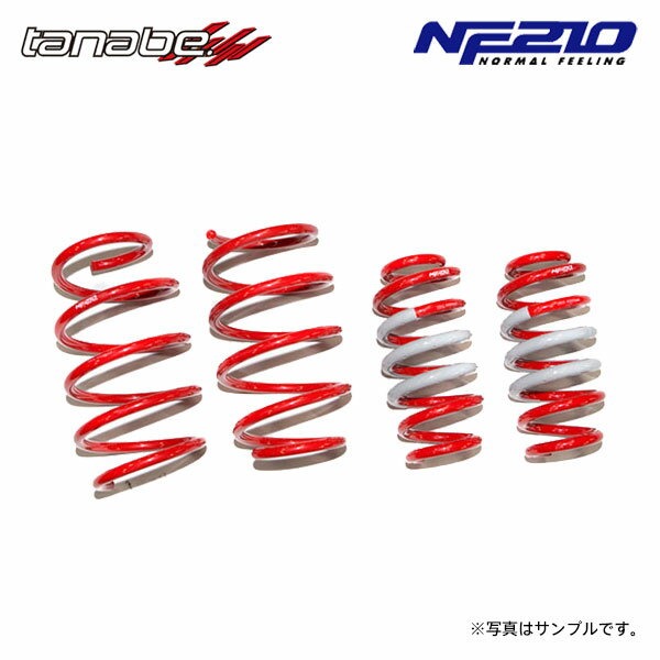 tanabe タナベ サステック NF210 ダウンサス 1台分 レクサス NX200t AGZ10 H26.7～H29.9 8AR-FTS TB FF Fスポーツ除く