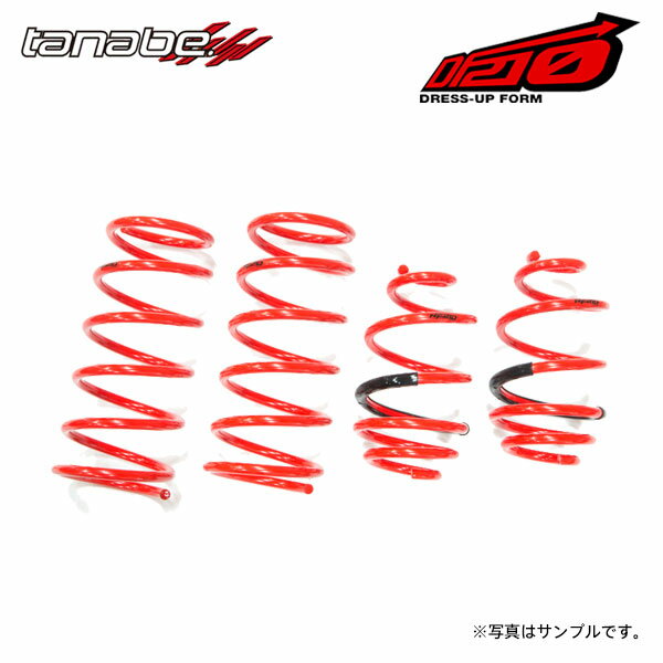 tanabe タナベ サステック DF210 ダウンサス 1台分 キューブ YZ11 H17.5～H20.11 HR15DE NA FF