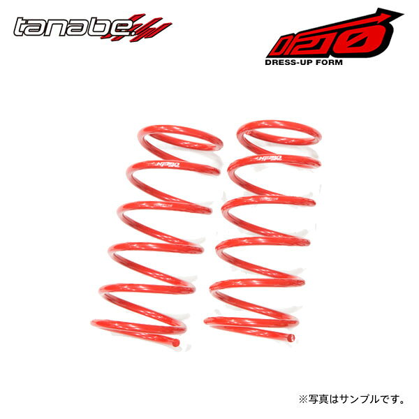 tanabe タナベ サステック DF210 ダウンサス フロントのみ ワゴンR MH22S H19.2～H20.9 K6A NA FF